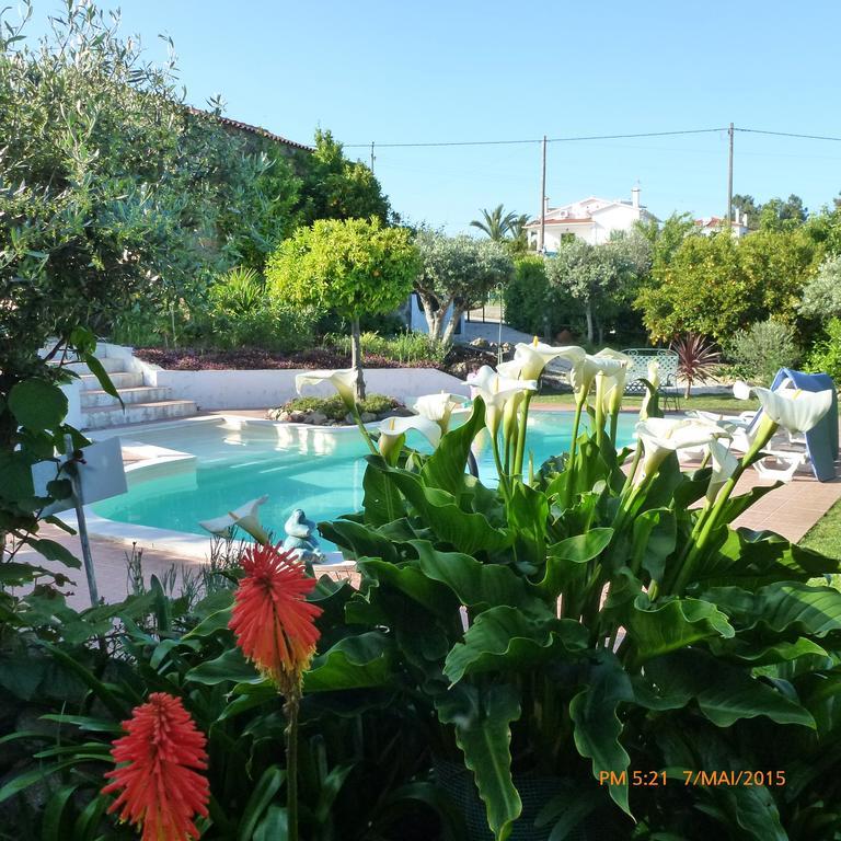 Casal Da Corticada Guest House Sertã Екстериор снимка