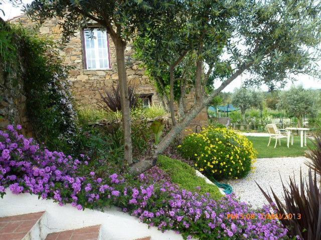 Casal Da Corticada Guest House Sertã Екстериор снимка